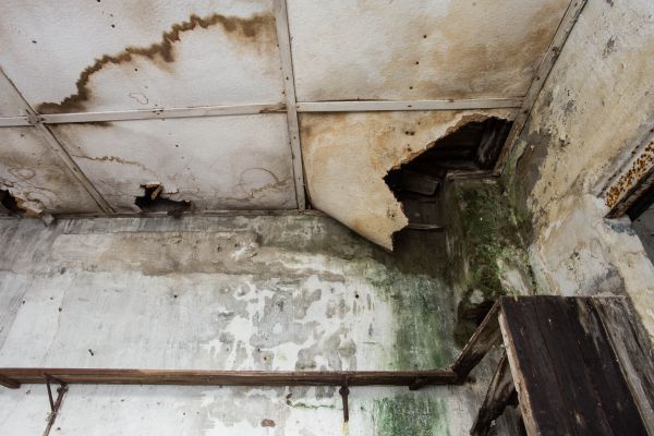 Water Damage Service in Bel Air