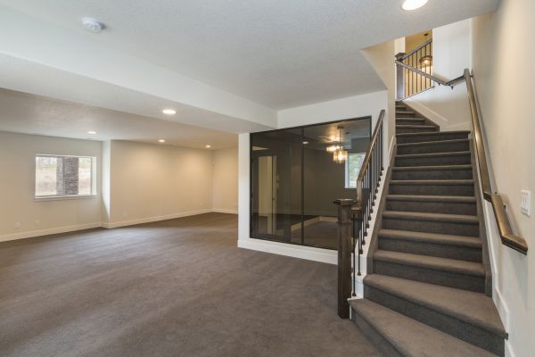 Basement Restoration Service in Bel Air