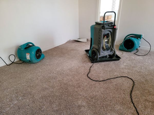 Flood Damage Repair in Bel Air