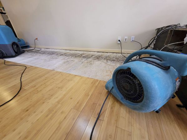 Water Damage Mitigation in Bel Air