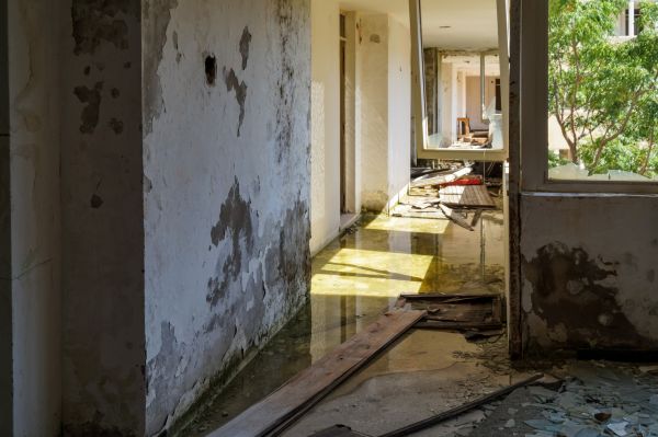 Cost of Water Removal Service in Bel Air