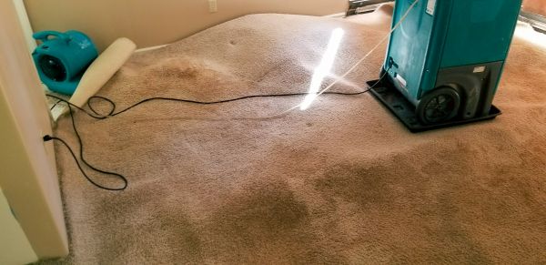 Carpet Water Extraction in Bel Air
