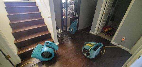 Water Damage Remediation in Bel Air