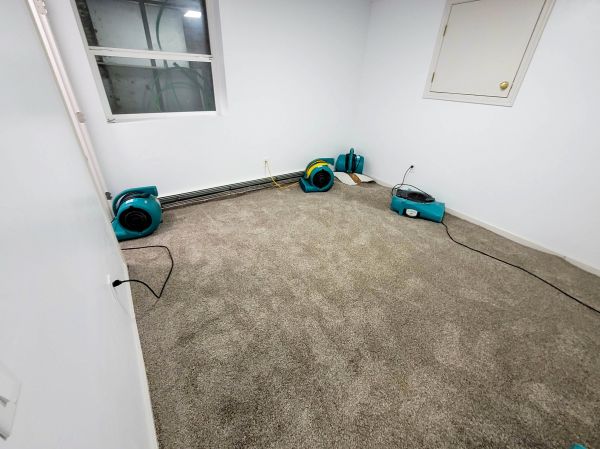Flood Restoration Service in Bel Air