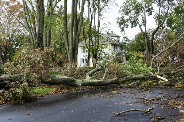 Tornado Damage Repair in Bel Air