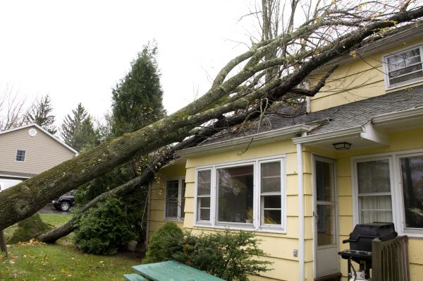 Hurricane Damage Repair in Bel Air
