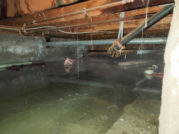 Crawlspace Water Restoration in Bel Air